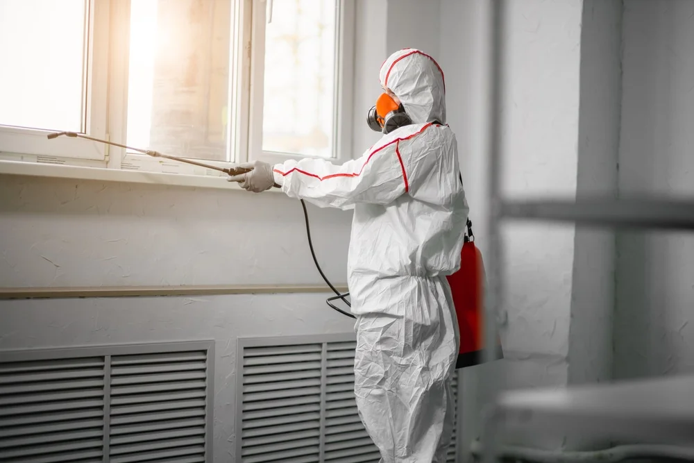 Professional mold remediation services in Spring Valley, WI